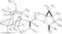 Fig. 02 - DEUTERIUM-ENRICHED SAXAGLIPTIN