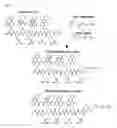 Fig. 22 - POLYACRIDINE NUCLEIC ACID DELIVERY PEPTIDE COMPLEXES