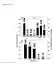 Fig. 28 - POLYACRIDINE NUCLEIC ACID DELIVERY PEPTIDE COMPLEXES