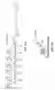 Fig. 32 - POLYACRIDINE NUCLEIC ACID DELIVERY PEPTIDE COMPLEXES
