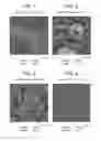 Fig. 02 - POLYOLEFIN/POLYLACTIC ACID BLENDS