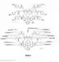 Fig. 09 - Molecular transporter compositions comprising dendrimeric oligoguanidine with a tri-functional core that facilitates delivery into cells in vivo