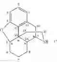 Fig. 03 - N-demethylation of 6-keto morphinans