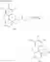 Fig. 08 - N-demethylation of 6-keto morphinans