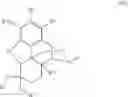 Fig. 12 - N-demethylation of 6-keto morphinans