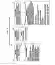 Fig. 04 - Apparatus method and for intelligent electronic medical devices