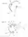 Fig. 07 - Orthotic fitting having a knee guide joint