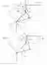 Fig. 08 - Orthotic fitting having a knee guide joint