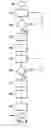 Fig. 09 - PHOTOCHEMICAL TISSUE BONDING