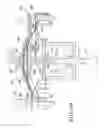 Fig. 20 - Peritoneal dialysis machine touch screen user interface