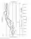Fig. 41 - Dialysis system including wireless patient data and trending and alert generation