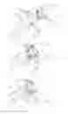 Fig. 08 - SINGLE USE SAFETY SYRINGE