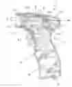 Fig. 01 - Hand piece assembly for a disposable flushing nozzle unit for cleansing and/or irrigating surgical wounds