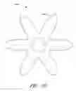 Fig. 20 - Adaptors for removing medicinal fluids from vials