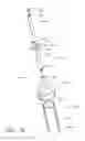 Fig. 32 - Adaptors for removing medicinal fluids from vials