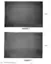 Fig. 06 - BIOLOGICAL TISSUE TRANSFORMATION USING ULTRAFAST LIGHT