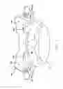 Fig. 08 - Multiple facet joint replacement