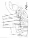 Fig. 07 - Dynamic stabilization medical implant assemblies and methods