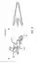 Fig. 09 - Reduced Bone Fracture Fixation Device