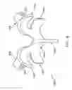 Fig. 09 - Prothesis for the replacement of a posterior element of a vertebra