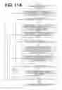 Fig. 15 - AUTOMATED SYSTEM OF DEMOCRATIZING POWER