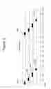 Fig. 09 - Unique composite relatively adjusted pulse