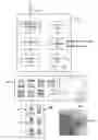 Fig. 01 - METHOD AND APPARATUS FOR GENERATING AN ENVIRONMENTAL ELEMENT PREDICTION FOR A POINT OF INTEREST