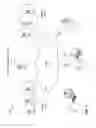 Fig. 02 - MIXED AUCTIONS