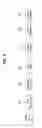 Fig. 05 - Digital broadcasting system and method of processing data