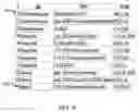 Fig. 13 - Document Validation System and Method