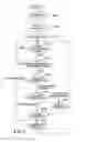 Fig. 07 - Within an electronic book environment, retrieving and displaying content associated with images or text in the electronic book