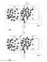 Fig. 08 - USER INPUT REMAPPING