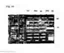 Fig. 11 - MULTIDIRECTIONAL EXPANSION CURSOR AND METHOD FOR FORMING A MULTIDIRECTIONAL EXPANSION CURSOR