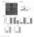 Fig. 10 - Prostate cancer cell lines and their use in screening method