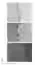 Fig. 04 - METHOD FOR OBSERVING GAD67-POSITIVE CELL IN TRANSGENIC ANIMAL