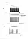 Fig. 05 - METHOD FOR OBSERVING GAD67-POSITIVE CELL IN TRANSGENIC ANIMAL