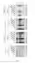 Fig. 08 - METHOD FOR GENERATING HYPOALLERGENIC GLYCOPROTEINS IN MUTATED OR TRANSGENIC PLANTS OR PLANT CELLS, AND MUTATED OR TRANSGENIC PLANTS AND PLANT CELLS FOR GENERATING HYPOALLERGENIC GLYCOPROTEINS