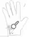 Fig. 01 - Sport glove closure system
