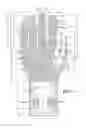 Fig. 02 - Ambidextrous glove