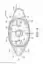 Fig. 06 - Ambidextrous glove