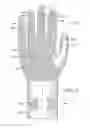Fig. 07 - Ambidextrous glove