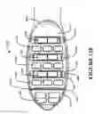 Fig. 17 - Brush section for an electric toothbrush