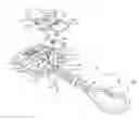 Fig. 01 - Pacifier clip