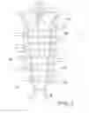 Fig. 03 - TONGUE AND INTERLOCKING SYSTEM FOR SHOES
