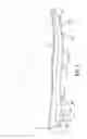 Fig. 02 - Sole structure with traction elements