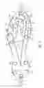 Fig. 03 - Sole structure with traction elements
