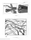 Fig. 05 - One-step method for pretreating biomass using nanomixing