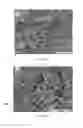 Fig. 07 - One-step method for pretreating biomass using nanomixing