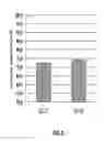 Fig. 08 - HIGH CONSISTENCY ENZYMATIC HYDROLYSIS FOR THE PRODUCTION OF ETHANOL