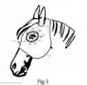 Fig. 02 - Horse Eye Protection Device